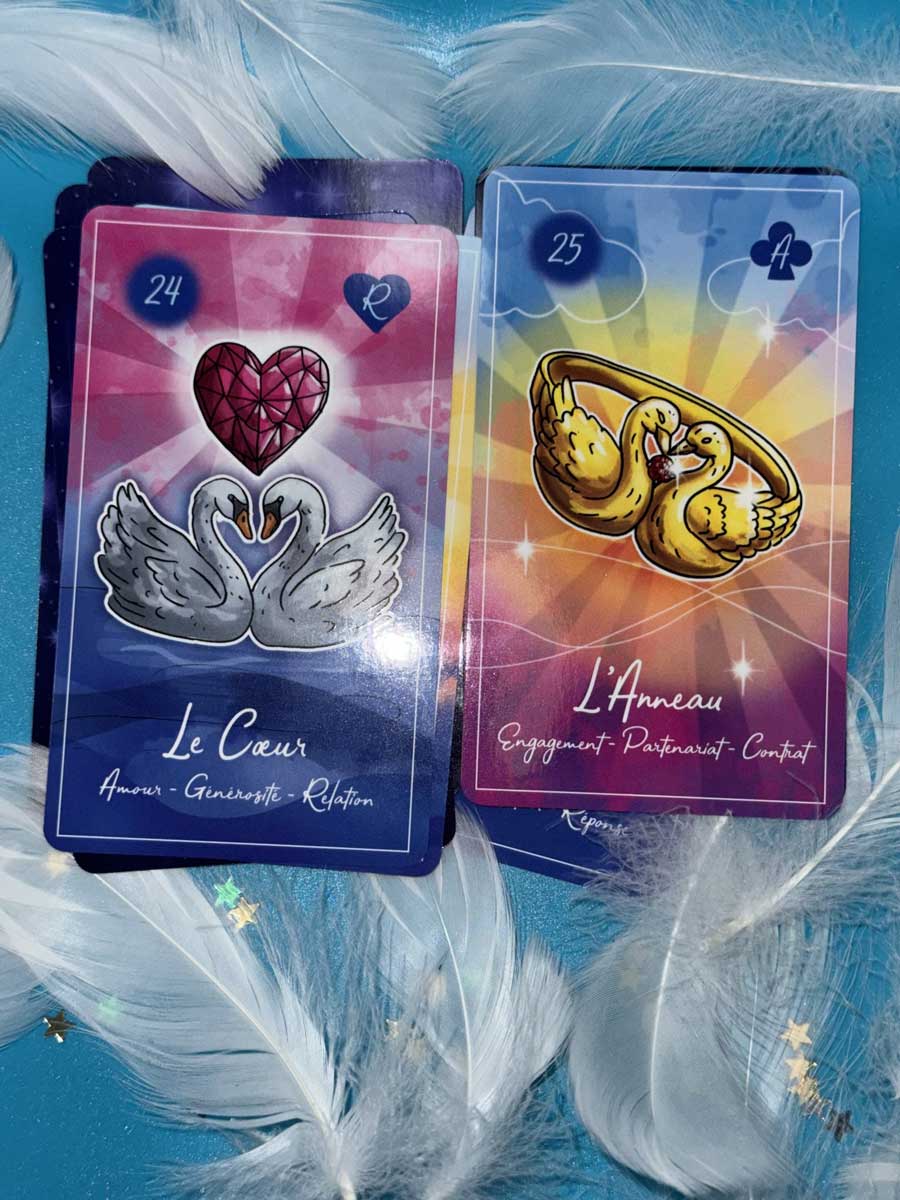 Swan Lenormand – visuel 4
