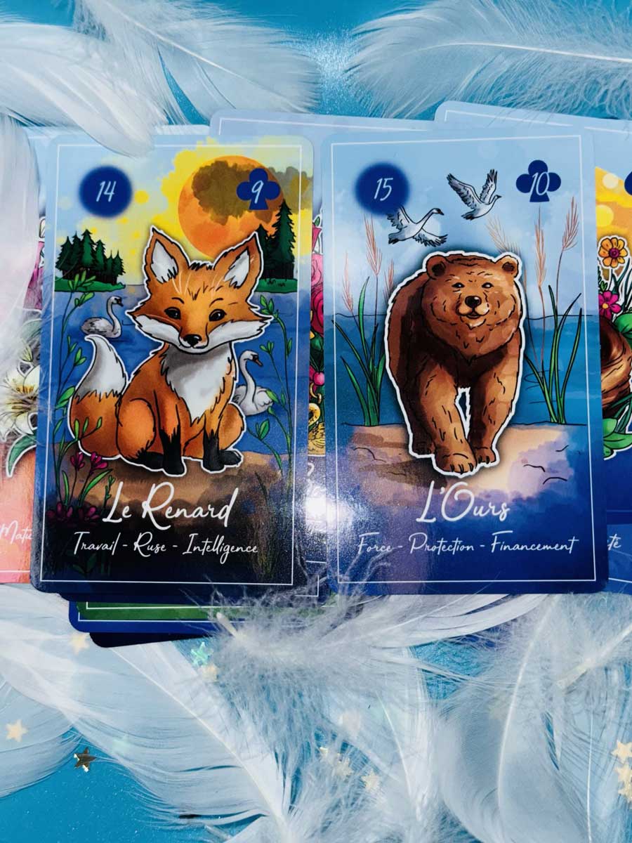 Swan Lenormand – visuel 8